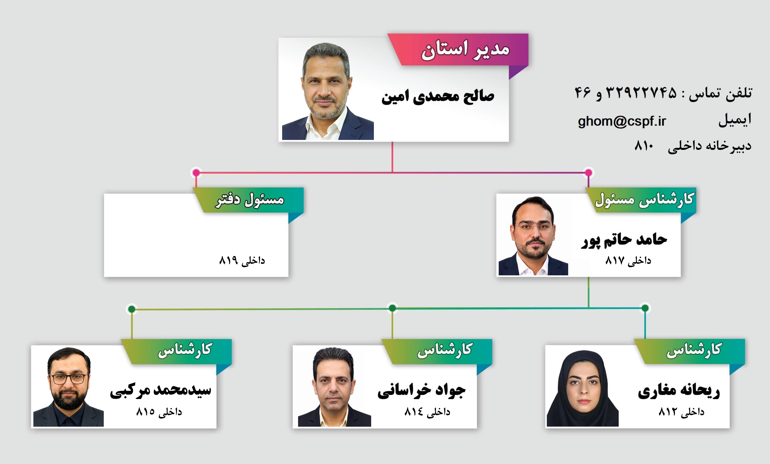 چارت جدید