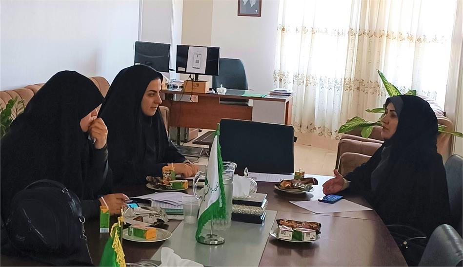 برگزاری دومین نشست مشاورین امور بانوان دستگاههای تابعه وزارت تعاون در استان